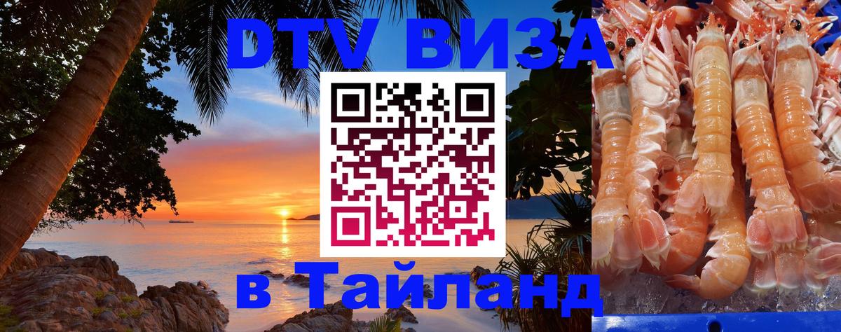 Сколько стоит DTV виза — актуальные цены, оформление даже без документов - 19.11.2025 